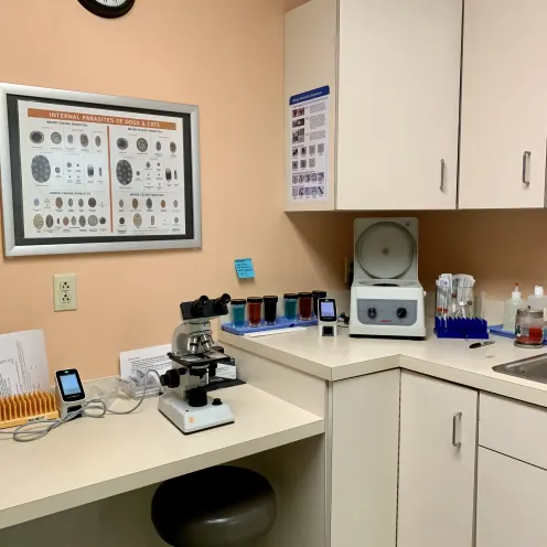 Lab Area at Camboro Veterinary Hospital 